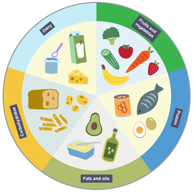 Grid of ingredient category cards showing grains, proteins, vegetables, and dairy alternatives organised by food group